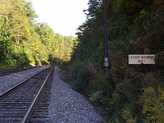 dcp00300.jpg (74732 bytes)