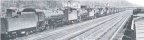 the yard-s.jpg (2751 bytes)